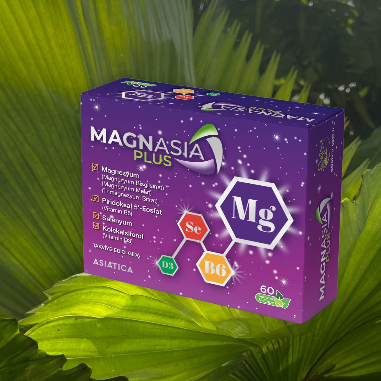 MAGNASIA PLUS 60 VCAPS